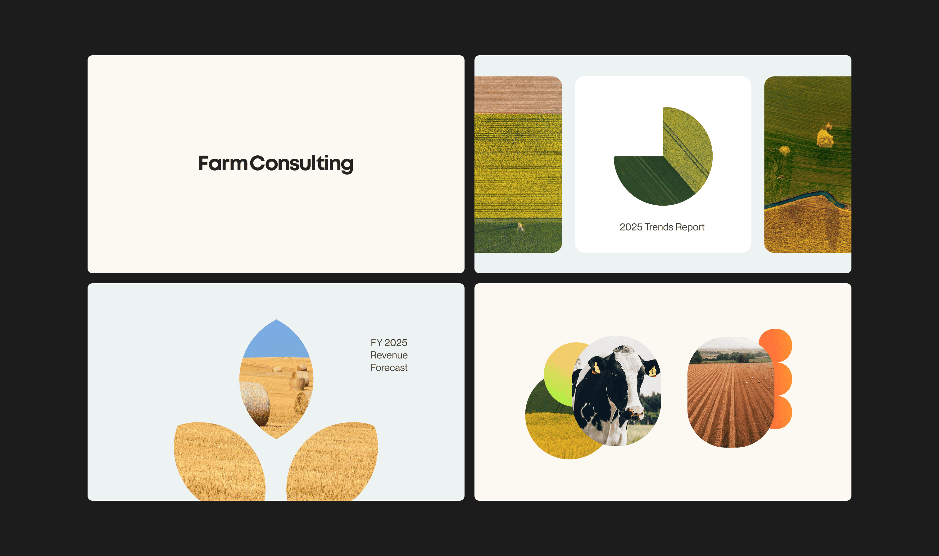 Identity System – image 1