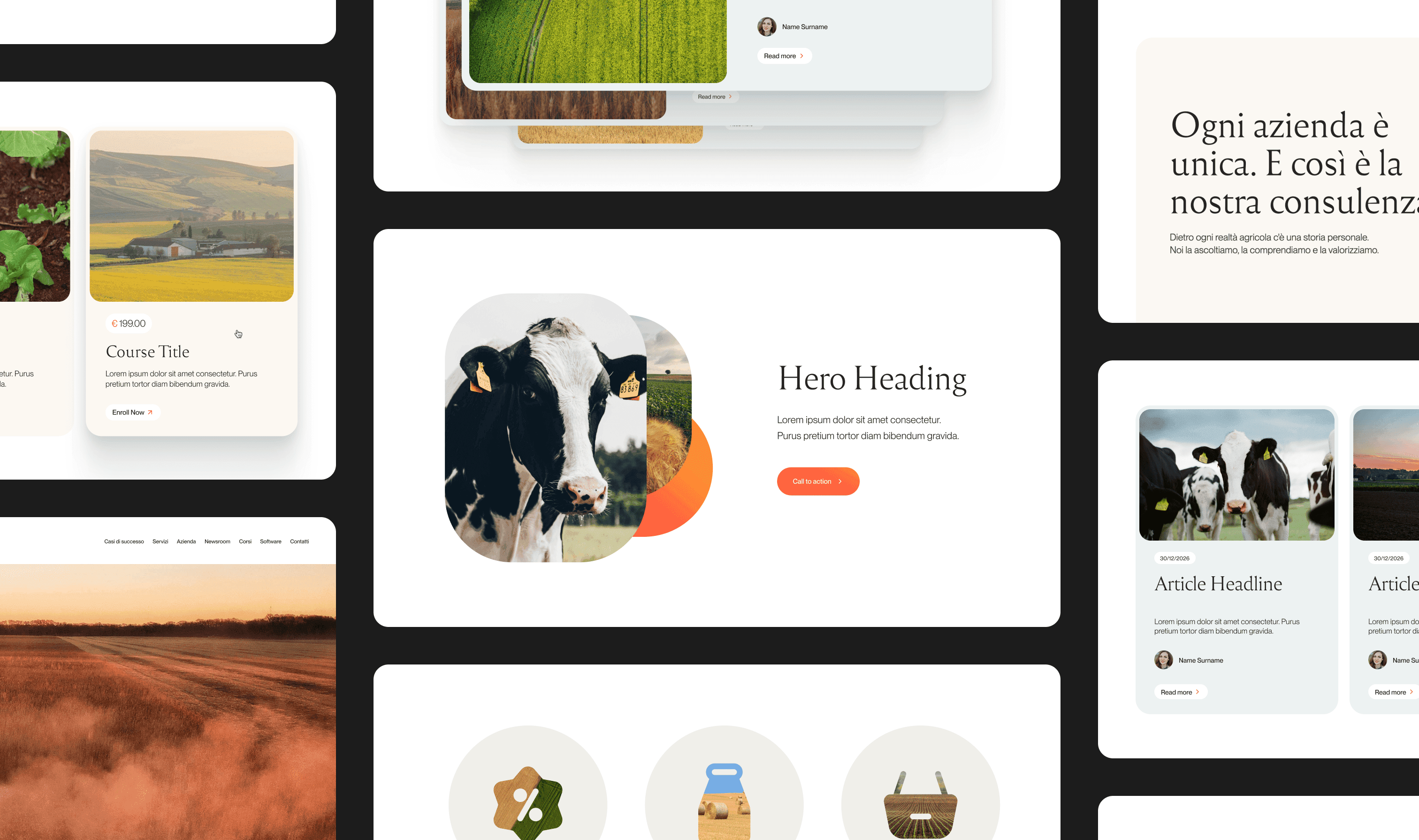 Website design – image 1