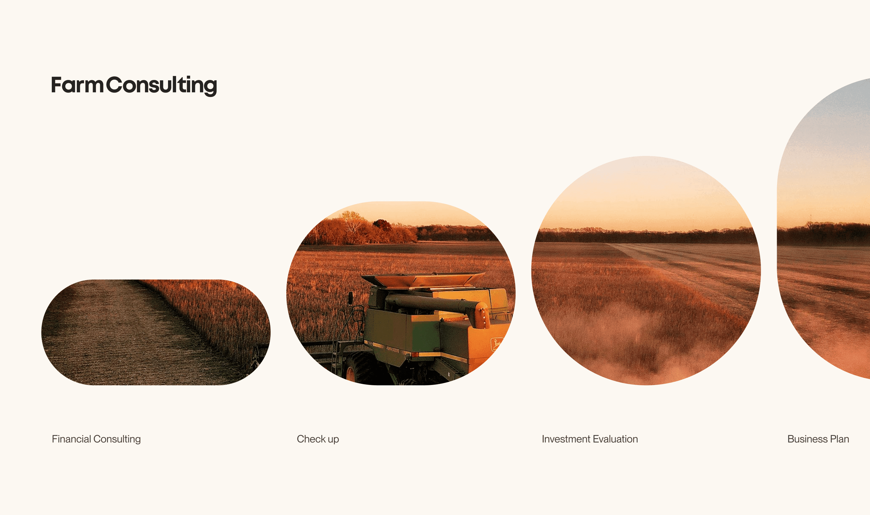 Identity System – image 2