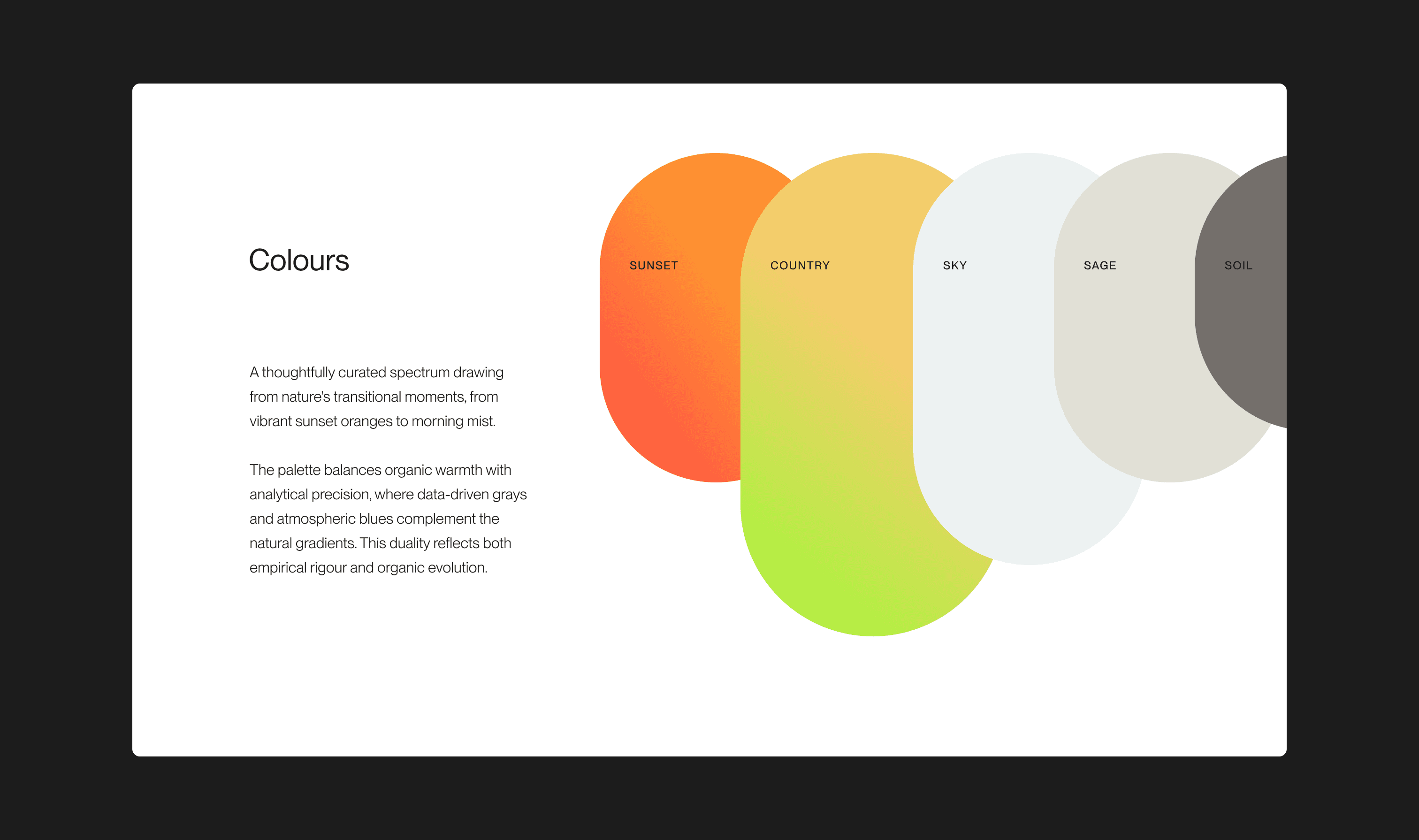Identity System – image 3