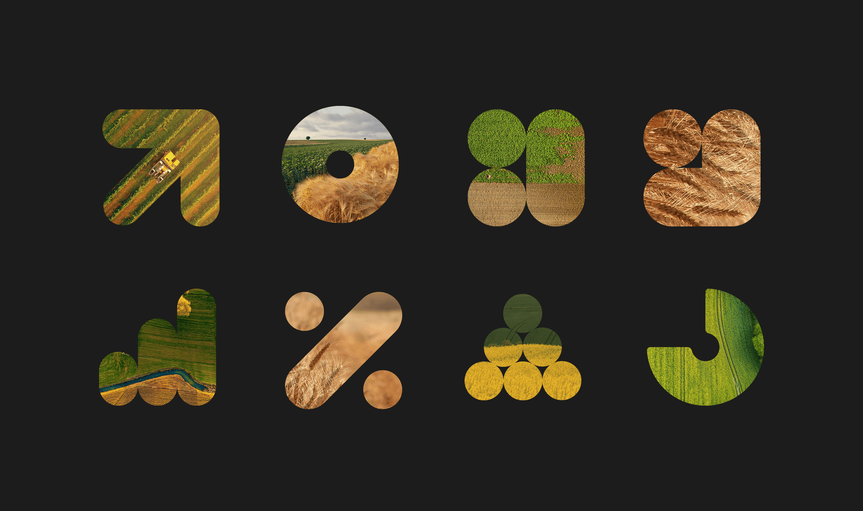 Identity System – image 5